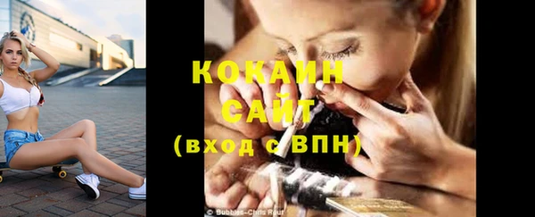 прущие грибы Армянск