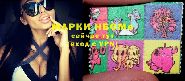 прущие грибы Армянск