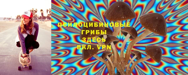 меф Арсеньев